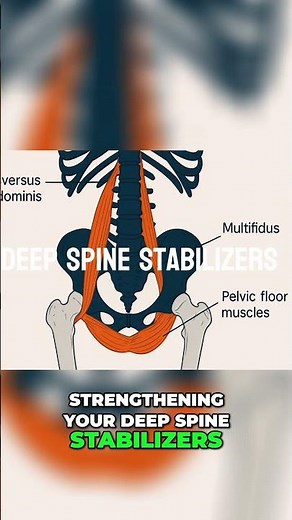 Stomach Vacuum Reshape Your Waist & Relieve Back Pain!