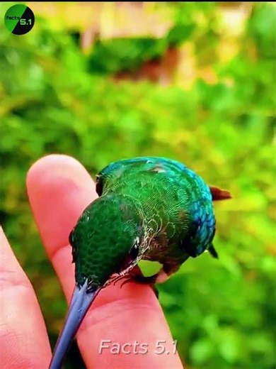 Drinking Water at Light Speed! ⚡🌊