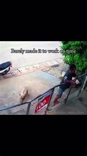 “Almost got fired today” ahh dog