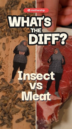 Bugs in your food? Could be a good thing I guess 🥀 #insect #protein | Mothership