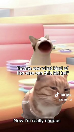 Cat Memes That Make You Laugh with My New BF🥺