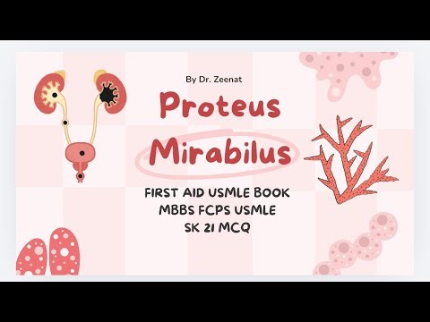 Proteus Mirabilus ~ FIRST AID USMLE Book ~ MBBS FCPS USMLE ~ SK21 MCQ Discussion