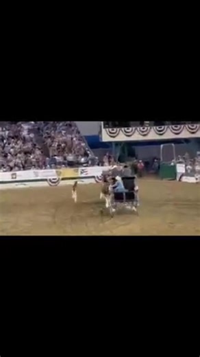 21K views · 1.1K reactions | Show stopper #fyp #horse #clydesdale #earthshakers #enjoytheride #livingmybestlife #dreamscometrue #livingthedream #winfieldks | Broken Spoke Clydesdale's | Facebook