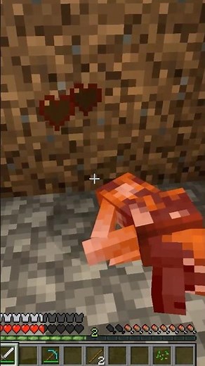 Worst Minecraft betrayal ever 😳