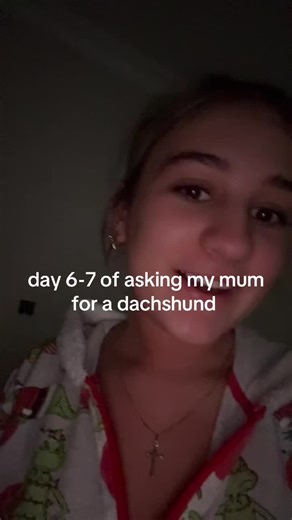 Requesting a Dachshund: Day 67 Reflections