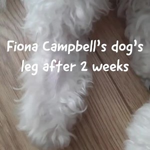 Dog Stuff is a 100% natural balm to soothe irritated skin and paws. It’s anti-fungal and anti-bacterial, great for helping minor cuts and abrasions and at promoting hair regrowth too! Dog Stuff 125g https://www.stinky-stuff.co.uk/.../dog-trial-size-dog-stuff/ | Stinky Stuff