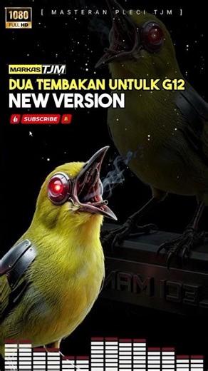 Masteran Pleci G12 - G16 Materi Mewah Kasar