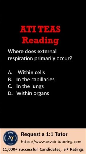 ATI TEAS Reading | Where Does External Respiration Occur? Practice Question #studytok #testprep