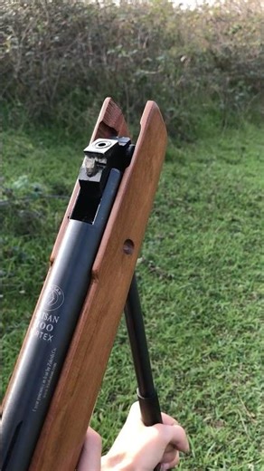 A spring gun with good power. Look how it pierced the wood