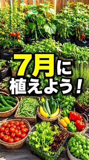 7月に植えないと絶対後悔する！プランターで育てるべき野菜15選！家庭菜園の秘訣 15 Vegetables to Plant in July Before It’s Too Late