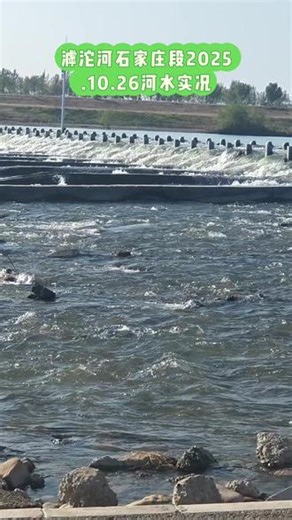 河北省滹沱河石家庄段河水实况！拍摄于2025.10.26.