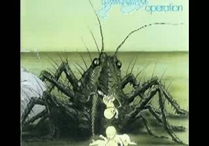 Birth control- Stop Little Lady