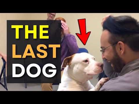 We Let Dogs Pick Their Families on Adoption Day And THIS Happened 😢