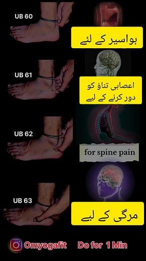 781K views · 4.5K reactions | The Flourish on Reels | Facebook