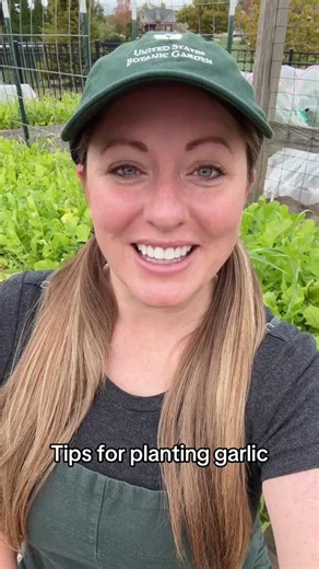 are some of my best tips for getting big, healthy bulbs next summer! From choosing the right garlic variety to spacing, soil prep, and timing — these planting tricks will help your cloves thrive. Perfect for beginner and seasoned gardeners who want a strong garlic harvest!  #GarlicPlanting #FallGardening #GarlicTips #PlantingGarlic #OrganicGardening | jessieheim | Facebook