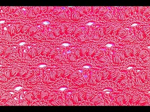 Crochet stitch fan combined with stitch puff