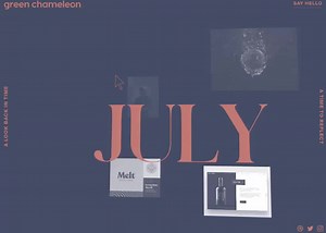 Timeline projects - Green Chameleon - Awwwards