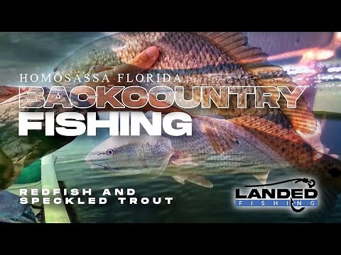 Inshore Fishing Homosassa Florida, Redfish and Speckled Trout | Florida Fishing Tips
