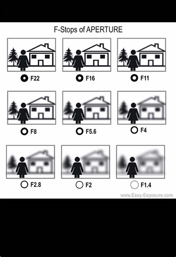 VISUALS 101: Aperture Explained Apterture doesn’t only control how much light enters your camera, it also controls how blurry the background of the image is. Understanding this is the foundation of photography. Save this for later 📌 #visuals101 #photographytips #photographybasics #aperture #learnphotography