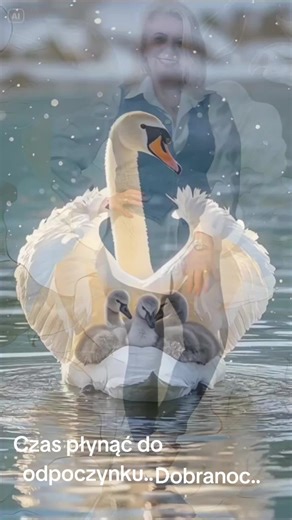 Filmy użytkownika Anetta (@anetta.klaczynska) z muzyką oryginalny dźwięk - Anetta