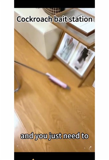 Effective Cockroach Killer for Every Household