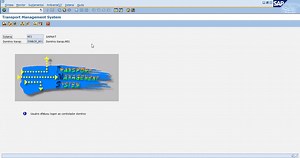 SAP BASIS / ABAP – Como Exportar e Importar uma Change Request Externa - NatSolutions