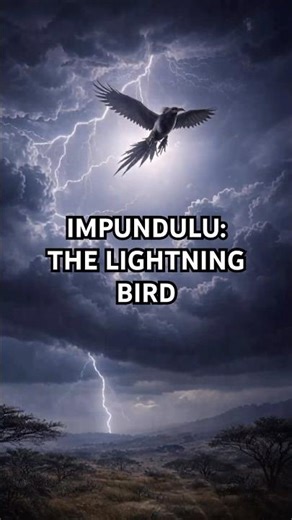 This Bird Was Believed to Bring Lightning