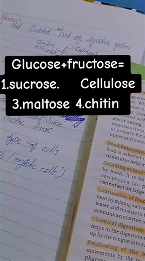 mdcat mcqs reapting#mdcat #foryoupageofficiallmdcat #foryoupageofficiallmdcat #questionmdcat❓❓❓❓❓ ##questionmdcat❓❓❓❓❓ #mdcat #foryoupageofficiallmdcat #foryoupageofficiall #mdcat #foryoupageofficiallmdcat #foryoupageofficiall #questionmdcat❓❓❓❓❓ #mdcat #foryoupageofficiallmdcat #foryoupageofficiall #foryoupageofficiall @TikTok #foryoupageofficiall #foryoupageofficiallmdcat #mdcat #questionmdcat❓❓❓❓❓ #foryoupageofficiall #foryoupageofficiall #foryoupageofficiall #foryoupageofficiall #mdcat #fory