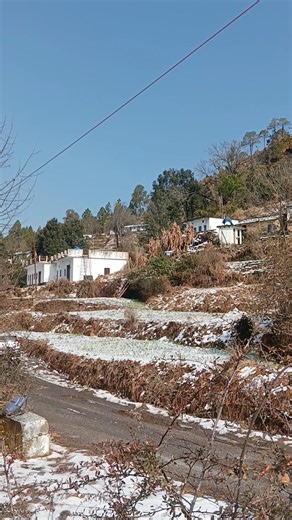 Bhama De #pahadisong #folksong #pahadi #trendingnow #trending #viralvideo #youtubeshorts #devotional