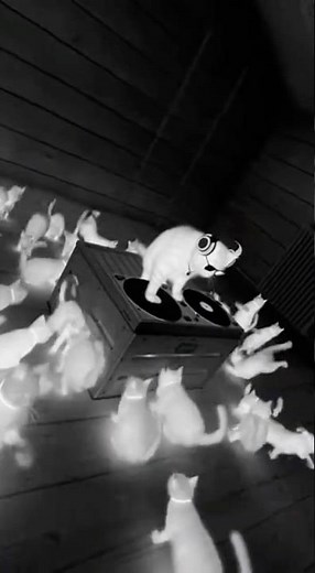 Attic Rave Led by One Furry DJ #cat #funny