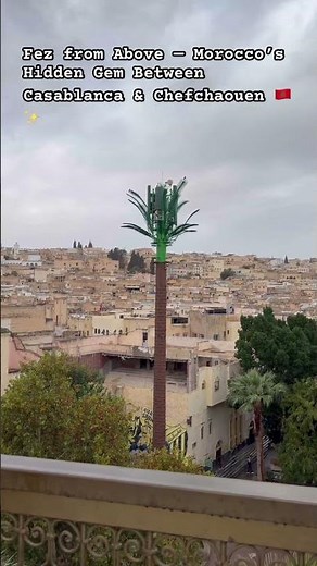 Fez from Above — Morocco’s Hidden Gem Between Casablanca & Chefchaouen 🇲🇦✨