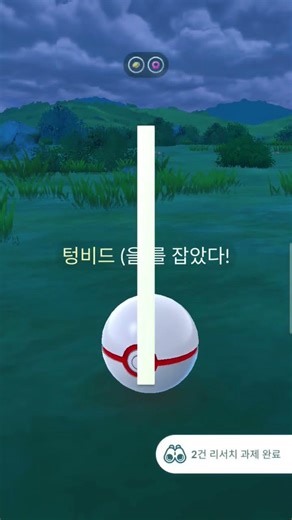 황금 해파리 등장! 이로치 텅비드가 떴다! (과연 개체값은?)