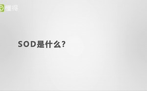SOD是什么