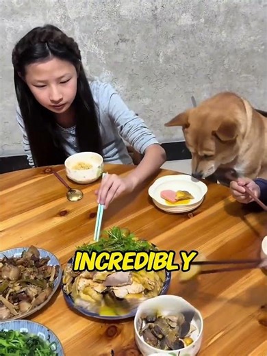 He saved their son's life. Now, he eats like a KING. 👑🐶