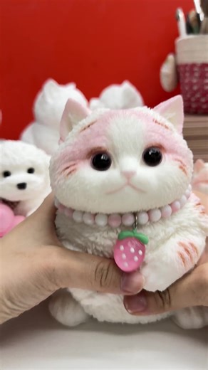 hahacat squishy on TikTok