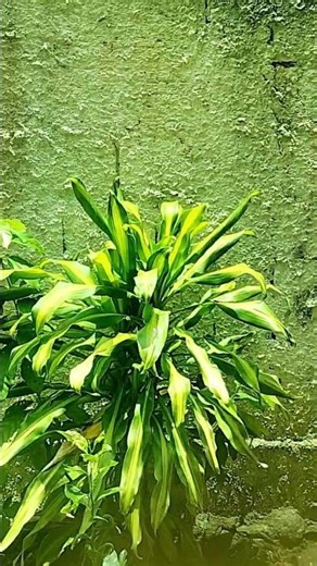 3 de dezembro de 2025