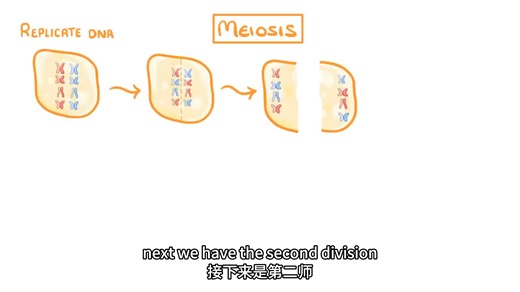 GCSE Biology - Meiosis #70