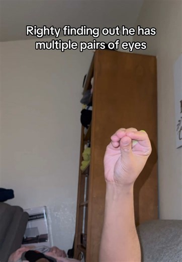 I think he handled it well 😂😅 #funny #handpuppet | puppet