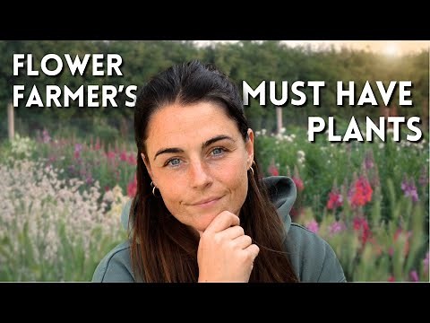 Starting My Flower Farm Again - These Are the Plants I’d Grow