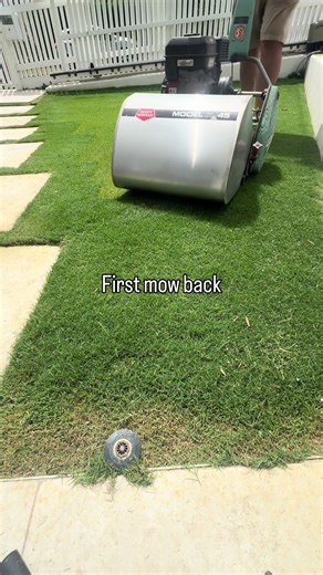 Essential Lawn Care Tips for a Lush Green Lawn