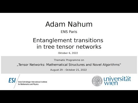 Adam Nahum - Entanglement transitions in tree tensor networks