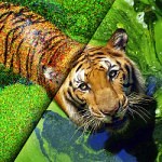 A Formal Approach to Identifying the Impact of Noise on Neural Networks