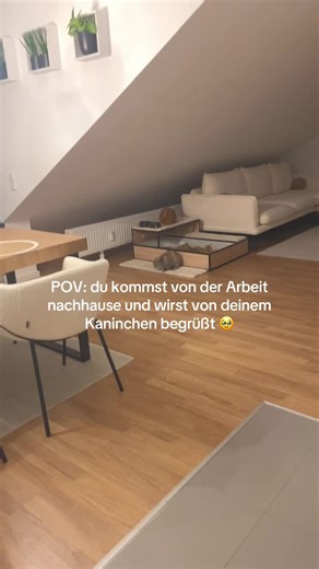 Er freut sich immer so 🥹 #bunlounge #foryou #petvoice #bunny #cute