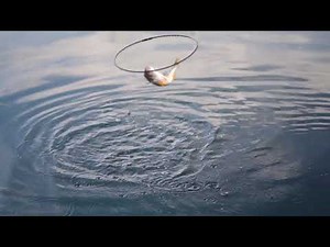 FREE Stock Footage - Fishing, Fisherman, Angling