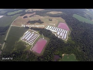 Hog farms make residents prisoners in their own homes