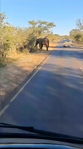 47K views · 800 reactions | If you are driving along the Victoria...