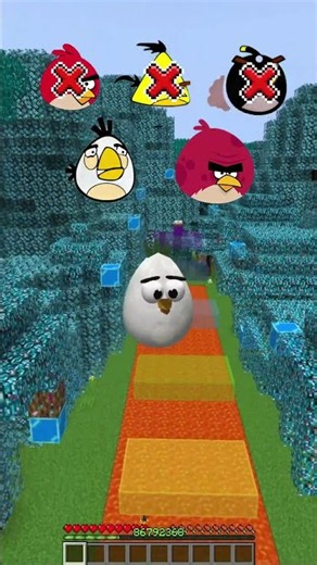 3D ANGRY BIDRS vs IMPOSSIBLE DEATHRUN in Minecraft?!
