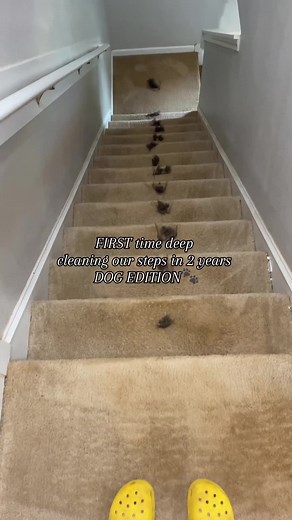 Realistic Deep Cleaning Surprise | Cleaning TikTok Compilation