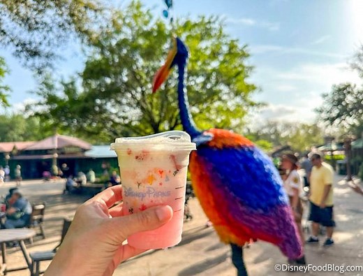 Best Desserts in Animal Kingdom for 2023 | the disney food blog
