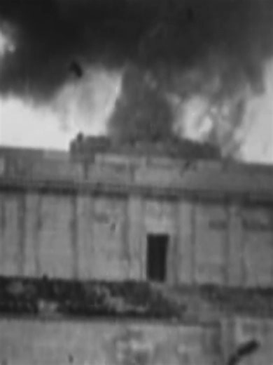 Timuel D. Black over gelijke rechten na WO2 #geschiedenis #anderetijden #justice